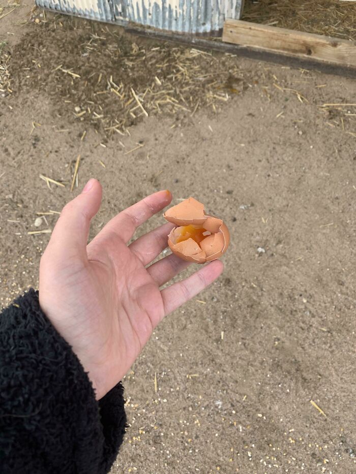 “I Hate This”: 80 Times A Mildly Infuriating Obstacle Got In The Way Of A Perfectly Good Day “I Hate This”: 80 Times A Mildly Infuriating Obstacle Got In The Way Of A Perfectly Good Day