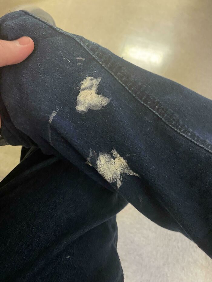 “I Hate This”: 80 Times A Mildly Infuriating Obstacle Got In The Way Of A Perfectly Good Day “I Hate This”: 80 Times A Mildly Infuriating Obstacle Got In The Way Of A Perfectly Good Day