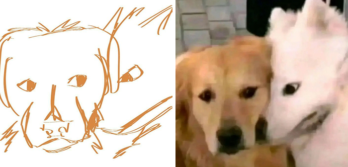 37 Things People Lost Hope To Find But The Internet Did Its Magic