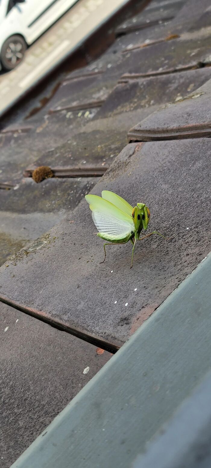 People Couldn&rsquo;t Keep These 51 Animal Photos To Themselves As They Found Them Really Cool