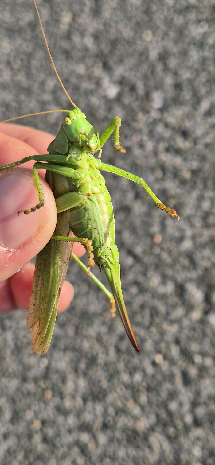 People Couldn&rsquo;t Keep These 51 Animal Photos To Themselves As They Found Them Really Cool