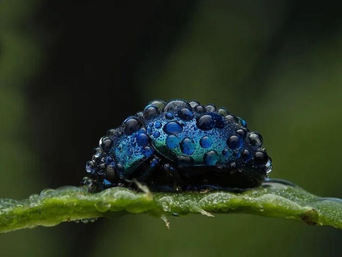 People Couldn&rsquo;t Keep These 51 Animal Photos To Themselves As They Found Them Really Cool