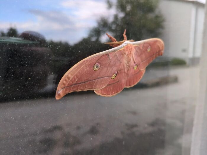 People Couldn&rsquo;t Keep These 51 Animal Photos To Themselves As They Found Them Really Cool
