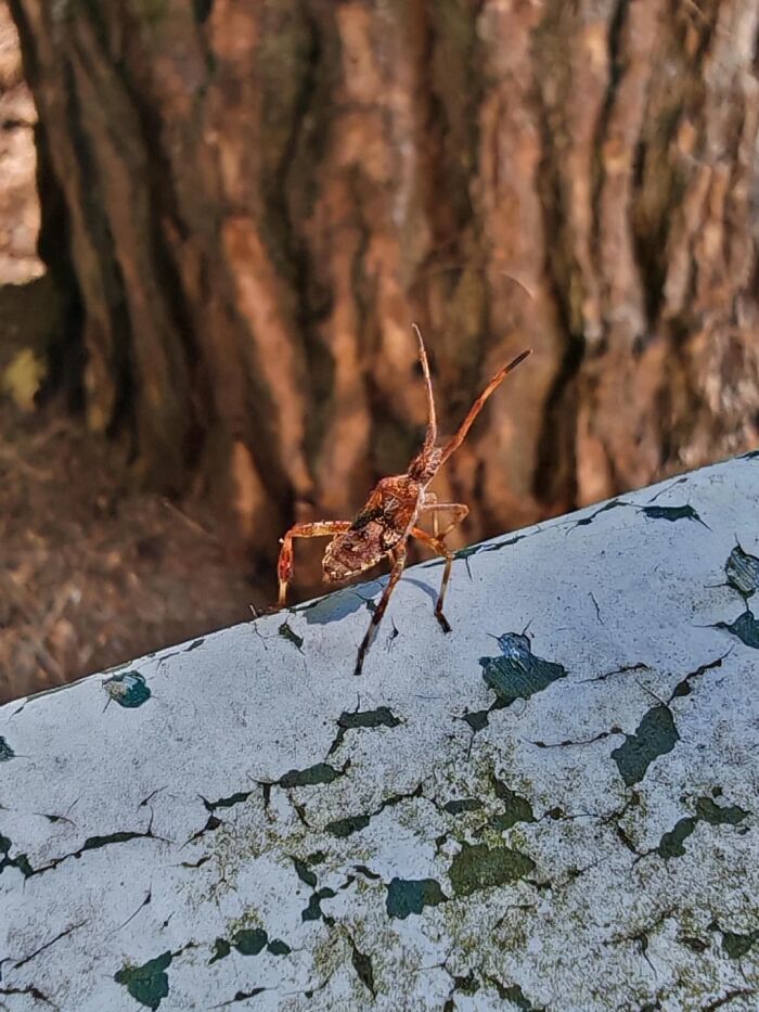 People Couldn&rsquo;t Keep These 51 Animal Photos To Themselves As They Found Them Really Cool