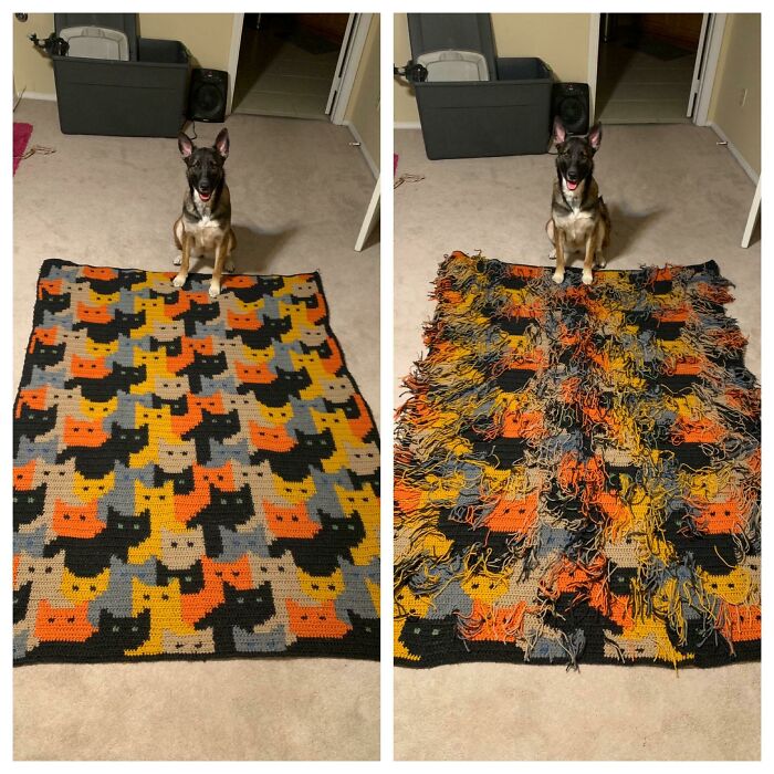 113 Amazing Crafts That Prove People Can Go Above And Beyond 113 Amazing Crafts That Prove People Can Go Above And Beyond