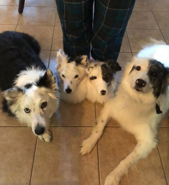 “Using Their Talent For Evil”: 92 Awful Ideas That Were Executed With Almost Disturbing Levels Of Skill “Using Their Talent For Evil”: 92 Awful Ideas That Were Executed With Almost Disturbing Levels Of Skill