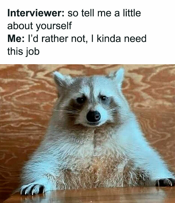 78 Memes For Anyone Who Stops Scrolling The Second An Animal Shows Up 78 Memes For Anyone Who Stops Scrolling The Second An Animal Shows Up