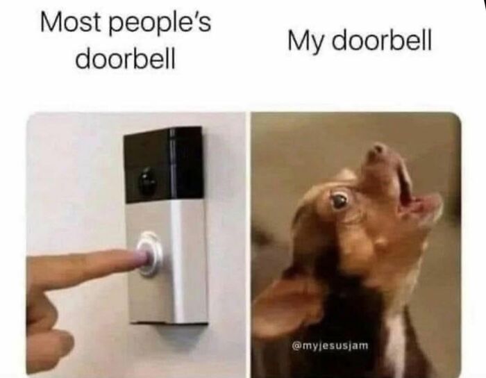 78 Memes For Anyone Who Stops Scrolling The Second An Animal Shows Up 78 Memes For Anyone Who Stops Scrolling The Second An Animal Shows Up