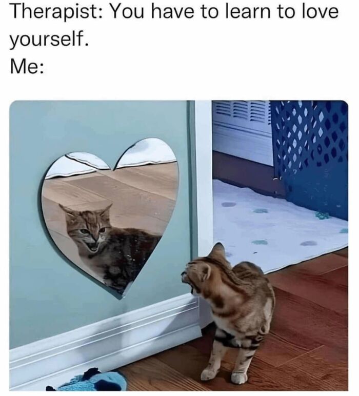 78 Memes For Anyone Who Stops Scrolling The Second An Animal Shows Up 78 Memes For Anyone Who Stops Scrolling The Second An Animal Shows Up