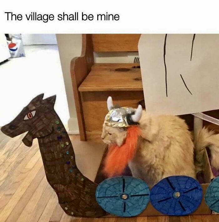 78 Memes For Anyone Who Stops Scrolling The Second An Animal Shows Up 78 Memes For Anyone Who Stops Scrolling The Second An Animal Shows Up