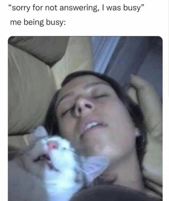 78 Memes For Anyone Who Stops Scrolling The Second An Animal Shows Up 78 Memes For Anyone Who Stops Scrolling The Second An Animal Shows Up