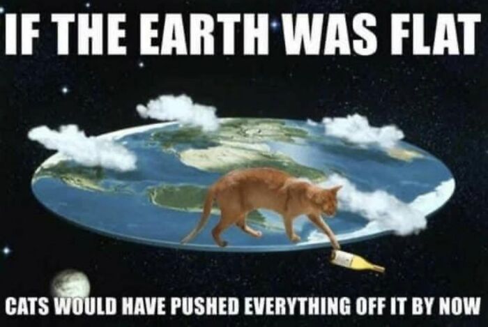 78 Memes For Anyone Who Stops Scrolling The Second An Animal Shows Up 78 Memes For Anyone Who Stops Scrolling The Second An Animal Shows Up