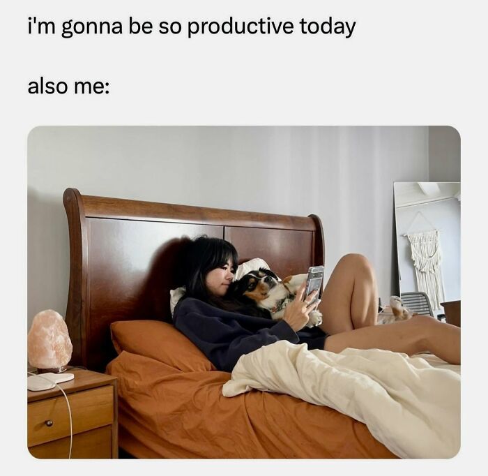 78 Memes For Anyone Who Stops Scrolling The Second An Animal Shows Up 78 Memes For Anyone Who Stops Scrolling The Second An Animal Shows Up