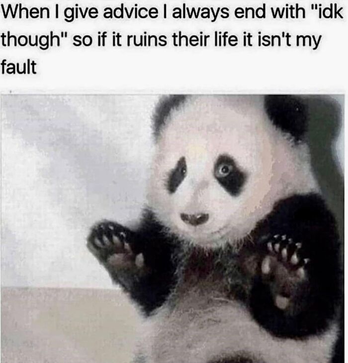 78 Memes For Anyone Who Stops Scrolling The Second An Animal Shows Up 78 Memes For Anyone Who Stops Scrolling The Second An Animal Shows Up