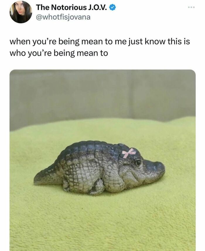 78 Memes For Anyone Who Stops Scrolling The Second An Animal Shows Up 78 Memes For Anyone Who Stops Scrolling The Second An Animal Shows Up