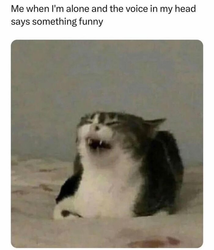 78 Memes For Anyone Who Stops Scrolling The Second An Animal Shows Up 78 Memes For Anyone Who Stops Scrolling The Second An Animal Shows Up