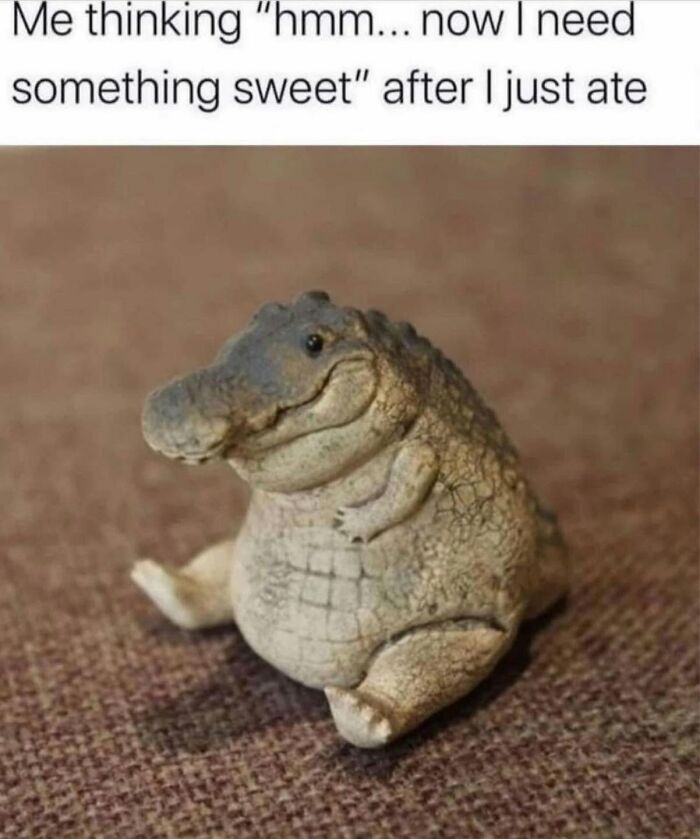 78 Memes For Anyone Who Stops Scrolling The Second An Animal Shows Up 78 Memes For Anyone Who Stops Scrolling The Second An Animal Shows Up