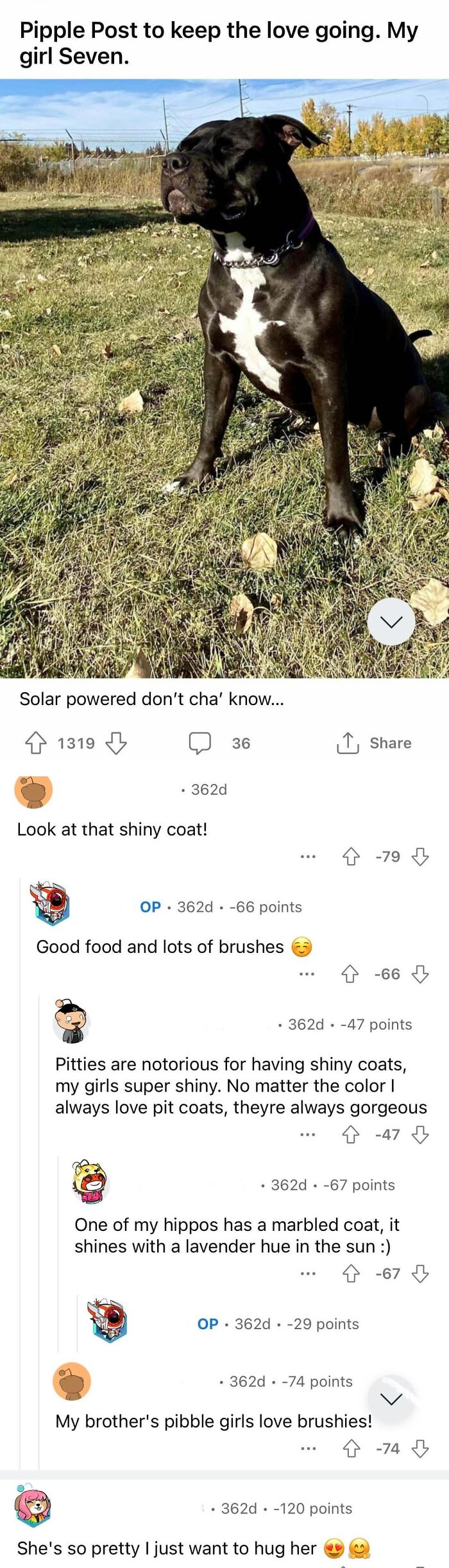 84 Comments That Were Downvoted To Oblivion For Good Or Completely Random Reasons 84 Comments That Were Downvoted To Oblivion For Good Or Completely Random Reasons