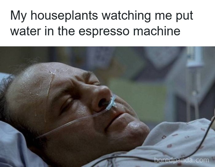 80 ‘Meme Queen’ Posts That Are Basically A Group Therapy Session With Better Jokes 80 ‘Meme Queen’ Posts That Are Basically A Group Therapy Session With Better Jokes