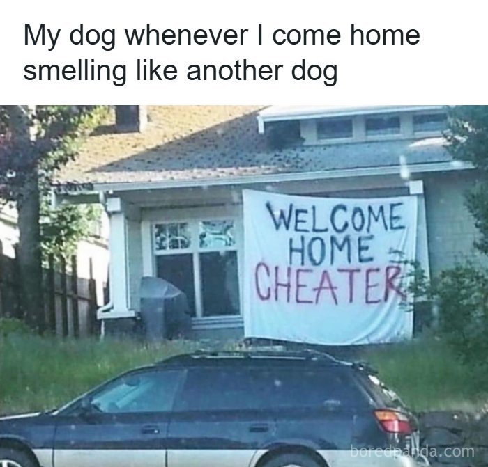 80 ‘Meme Queen’ Posts That Are Basically A Group Therapy Session With Better Jokes 80 ‘Meme Queen’ Posts That Are Basically A Group Therapy Session With Better Jokes