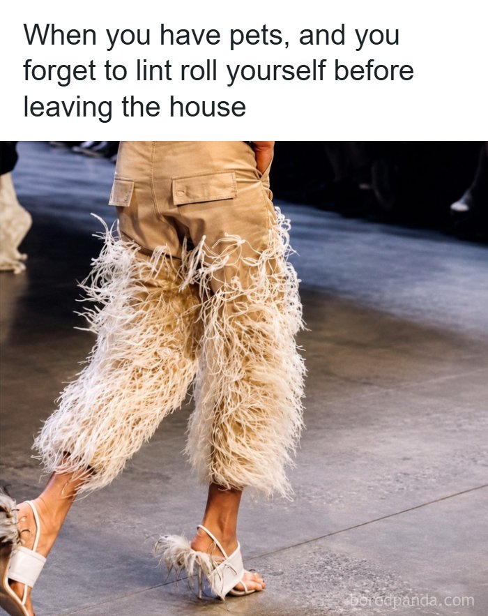 80 ‘Meme Queen’ Posts That Are Basically A Group Therapy Session With Better Jokes 80 ‘Meme Queen’ Posts That Are Basically A Group Therapy Session With Better Jokes