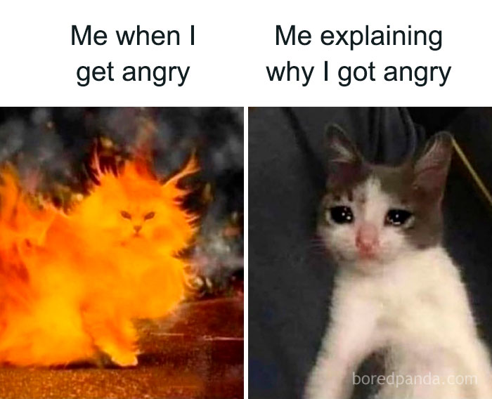 80 ‘Meme Queen’ Posts That Are Basically A Group Therapy Session With Better Jokes 80 ‘Meme Queen’ Posts That Are Basically A Group Therapy Session With Better Jokes