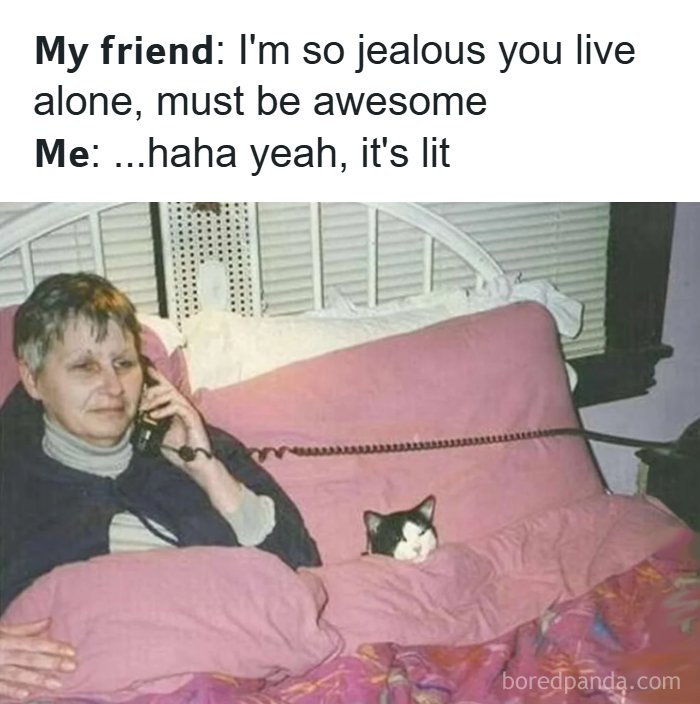 80 ‘Meme Queen’ Posts That Are Basically A Group Therapy Session With Better Jokes 80 ‘Meme Queen’ Posts That Are Basically A Group Therapy Session With Better Jokes