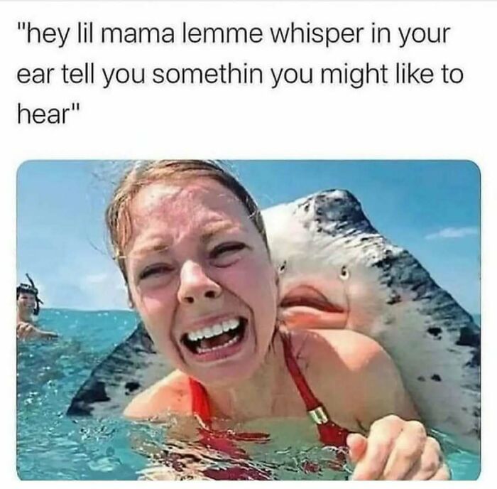 80 ‘Meme Queen’ Posts That Are Basically A Group Therapy Session With Better Jokes 80 ‘Meme Queen’ Posts That Are Basically A Group Therapy Session With Better Jokes