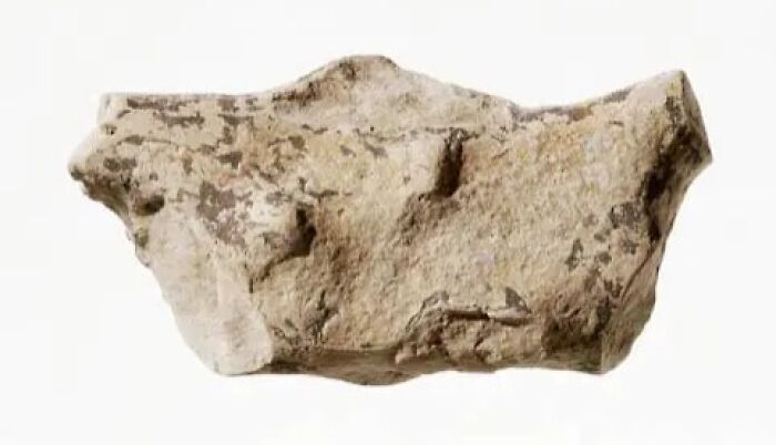 Expert Breaks Down The 20 Historical Artifacts That Survived Against The Odds