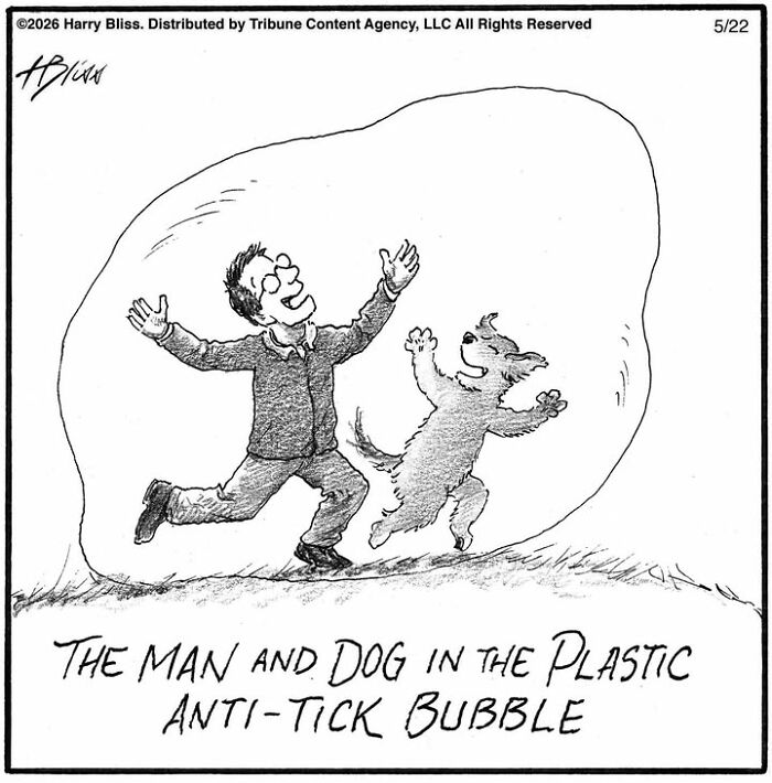 33 New Dog Comics By Harry Bliss That Capture The Funny Side Of Life With Pets 33 New Dog Comics By Harry Bliss That Capture The Funny Side Of Life With Pets