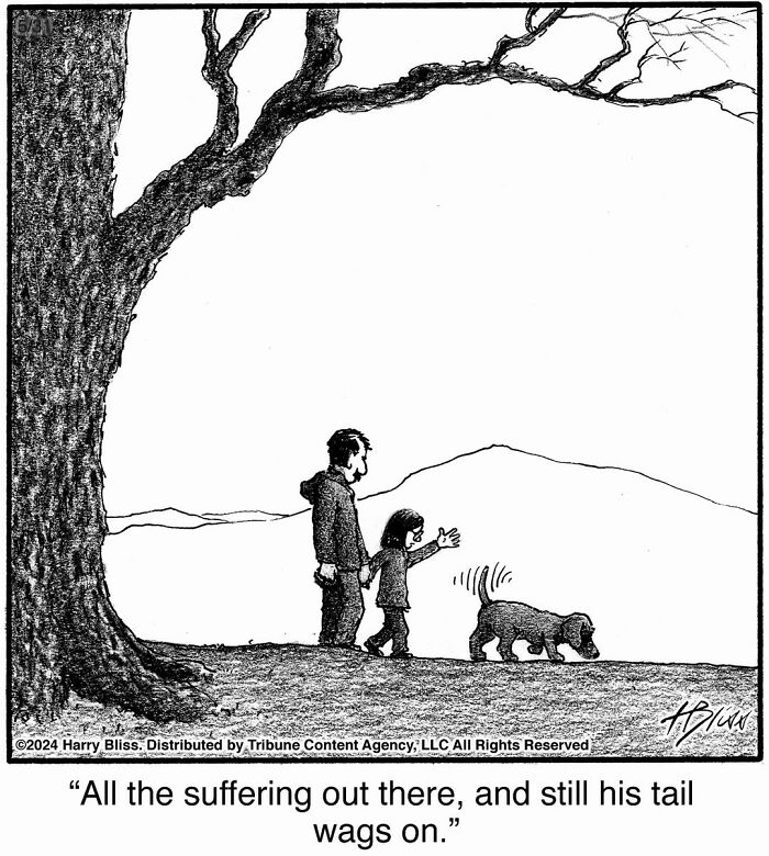 33 New Dog Comics By Harry Bliss That Capture The Funny Side Of Life With Pets 33 New Dog Comics By Harry Bliss That Capture The Funny Side Of Life With Pets