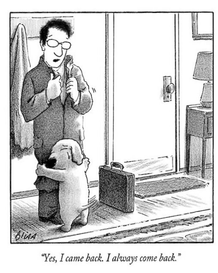 33 New Dog Comics By Harry Bliss That Capture The Funny Side Of Life With Pets 33 New Dog Comics By Harry Bliss That Capture The Funny Side Of Life With Pets
