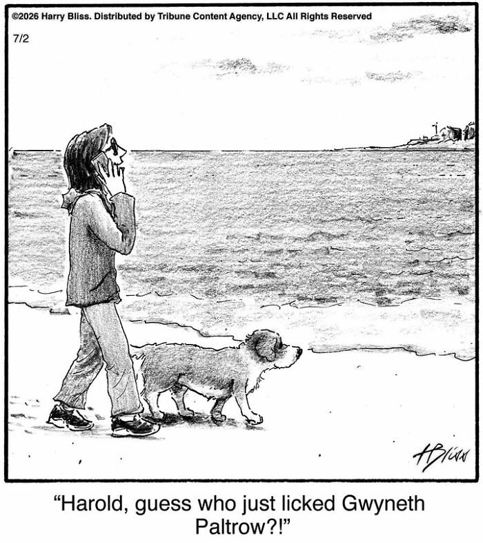 33 New Dog Comics By Harry Bliss That Capture The Funny Side Of Life With Pets 33 New Dog Comics By Harry Bliss That Capture The Funny Side Of Life With Pets