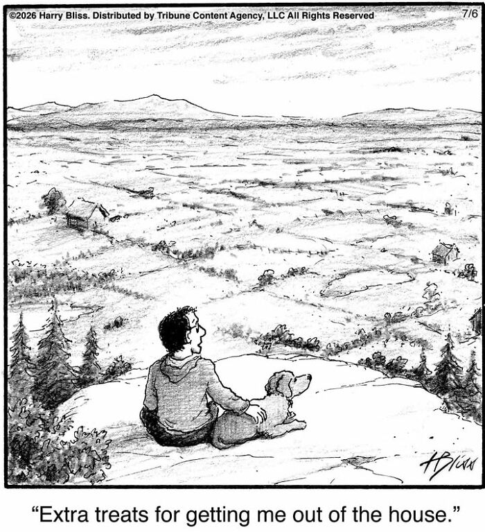 33 New Dog Comics By Harry Bliss That Capture The Funny Side Of Life With Pets 33 New Dog Comics By Harry Bliss That Capture The Funny Side Of Life With Pets
