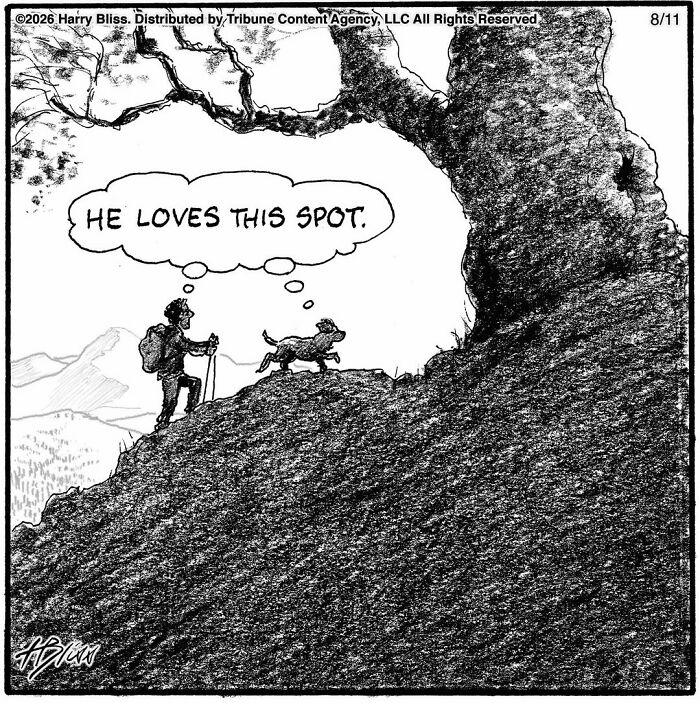 33 New Dog Comics By Harry Bliss That Capture The Funny Side Of Life With Pets 33 New Dog Comics By Harry Bliss That Capture The Funny Side Of Life With Pets