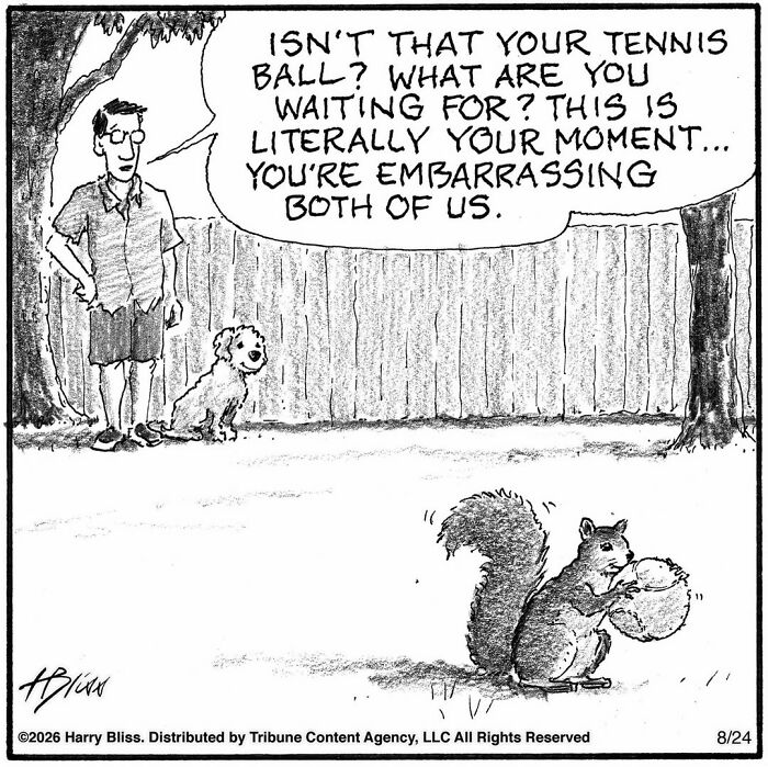 33 New Dog Comics By Harry Bliss That Capture The Funny Side Of Life With Pets 33 New Dog Comics By Harry Bliss That Capture The Funny Side Of Life With Pets