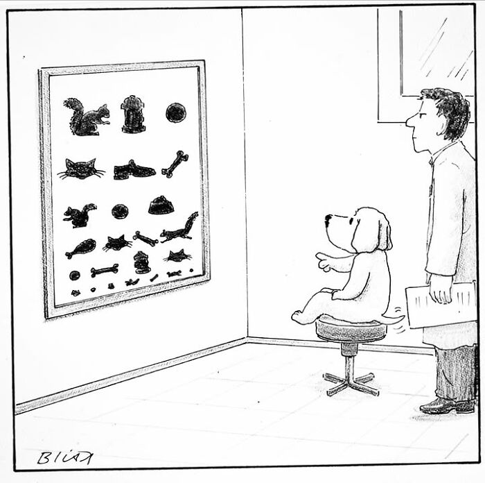 33 New Dog Comics By Harry Bliss That Capture The Funny Side Of Life With Pets 33 New Dog Comics By Harry Bliss That Capture The Funny Side Of Life With Pets