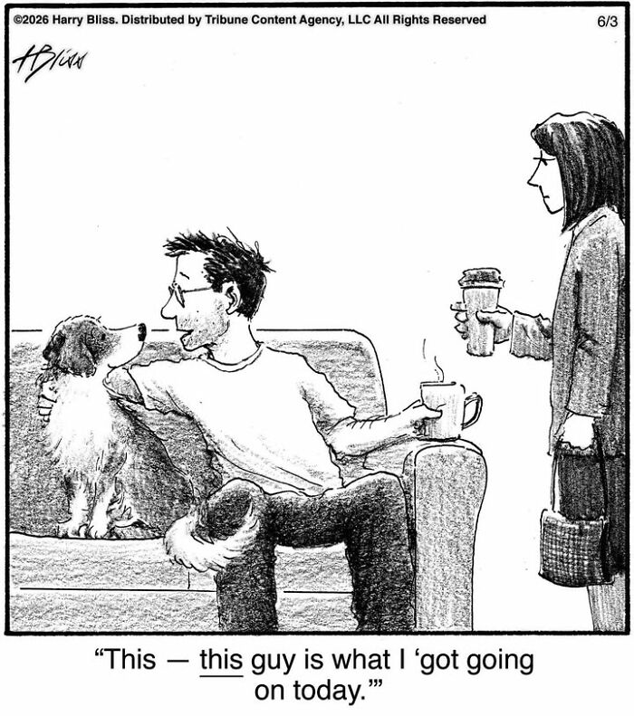 33 New Dog Comics By Harry Bliss That Capture The Funny Side Of Life With Pets 33 New Dog Comics By Harry Bliss That Capture The Funny Side Of Life With Pets