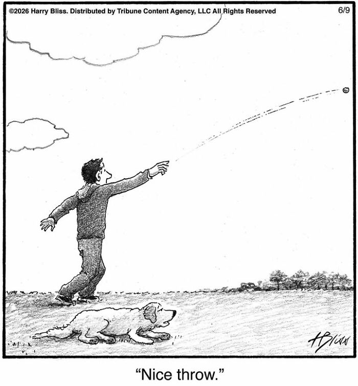 33 New Dog Comics By Harry Bliss That Capture The Funny Side Of Life With Pets 33 New Dog Comics By Harry Bliss That Capture The Funny Side Of Life With Pets