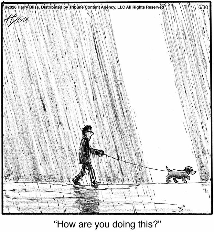 33 New Dog Comics By Harry Bliss That Capture The Funny Side Of Life With Pets 33 New Dog Comics By Harry Bliss That Capture The Funny Side Of Life With Pets