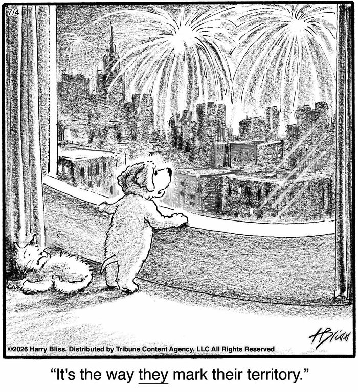 33 New Dog Comics By Harry Bliss That Capture The Funny Side Of Life With Pets 33 New Dog Comics By Harry Bliss That Capture The Funny Side Of Life With Pets