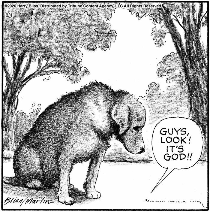 33 New Dog Comics By Harry Bliss That Capture The Funny Side Of Life With Pets 33 New Dog Comics By Harry Bliss That Capture The Funny Side Of Life With Pets