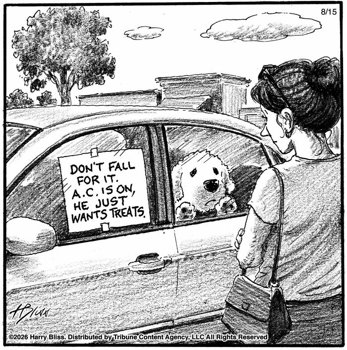 33 New Dog Comics By Harry Bliss That Capture The Funny Side Of Life With Pets 33 New Dog Comics By Harry Bliss That Capture The Funny Side Of Life With Pets