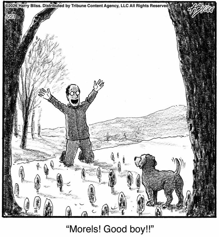 33 New Dog Comics By Harry Bliss That Capture The Funny Side Of Life With Pets 33 New Dog Comics By Harry Bliss That Capture The Funny Side Of Life With Pets