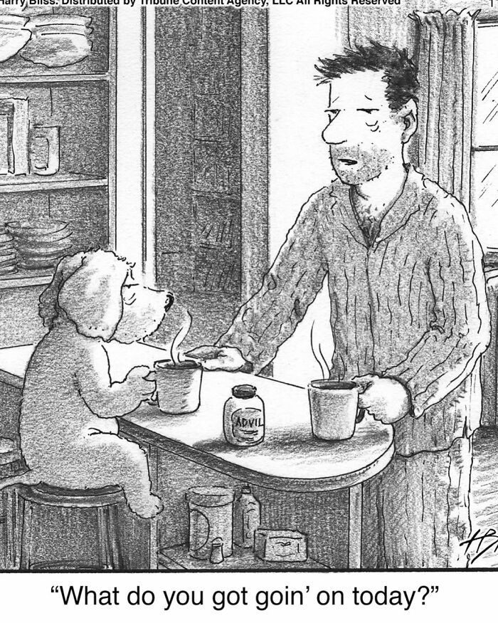 33 New Dog Comics By Harry Bliss That Capture The Funny Side Of Life With Pets 33 New Dog Comics By Harry Bliss That Capture The Funny Side Of Life With Pets