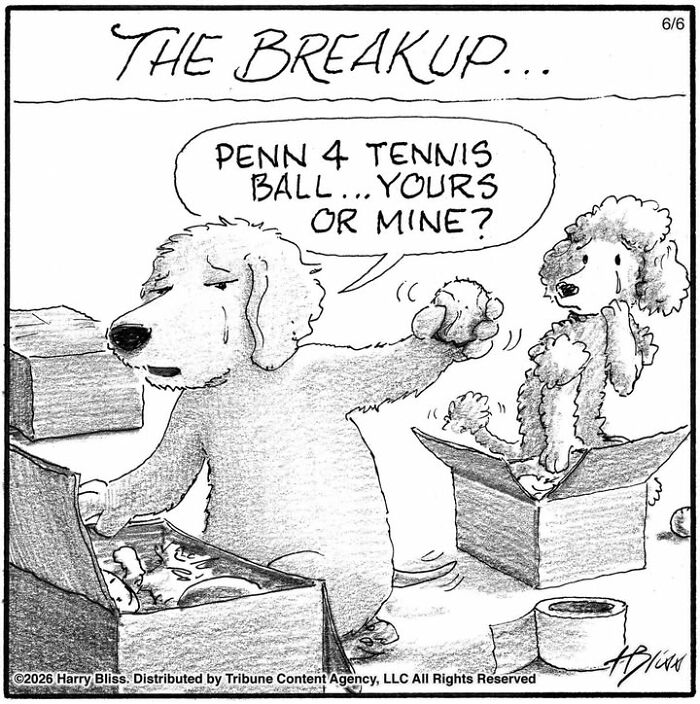 33 New Dog Comics By Harry Bliss That Capture The Funny Side Of Life With Pets 33 New Dog Comics By Harry Bliss That Capture The Funny Side Of Life With Pets