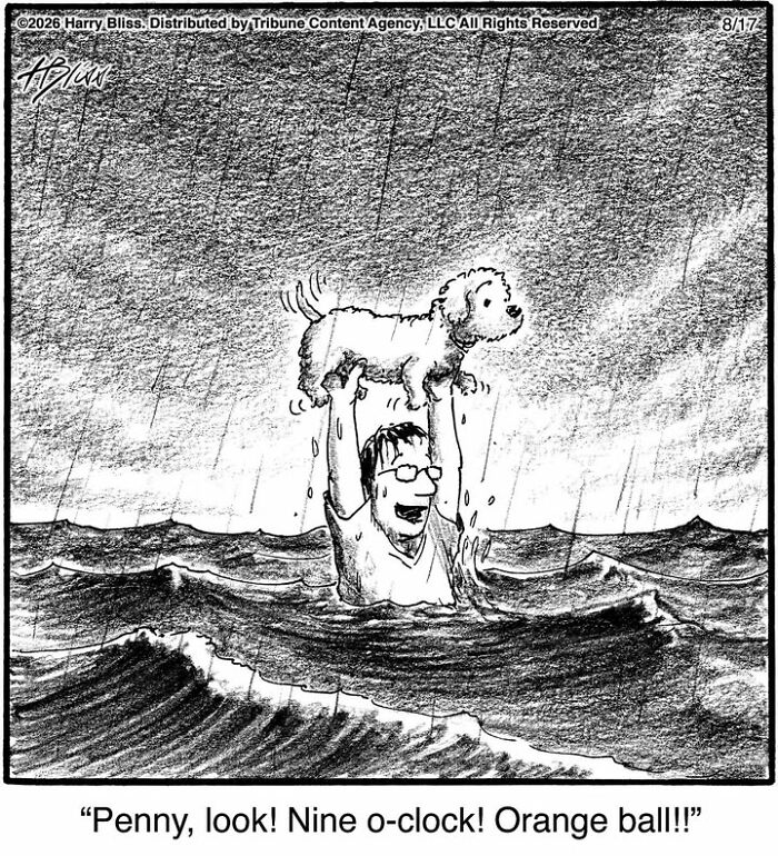 33 New Dog Comics By Harry Bliss That Capture The Funny Side Of Life With Pets 33 New Dog Comics By Harry Bliss That Capture The Funny Side Of Life With Pets