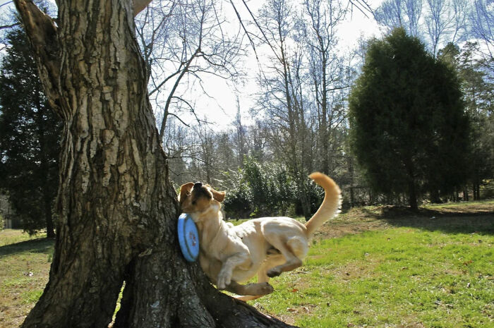 This Page Shared 50 Funniest Animal Photos That Deserve A Comedy Award