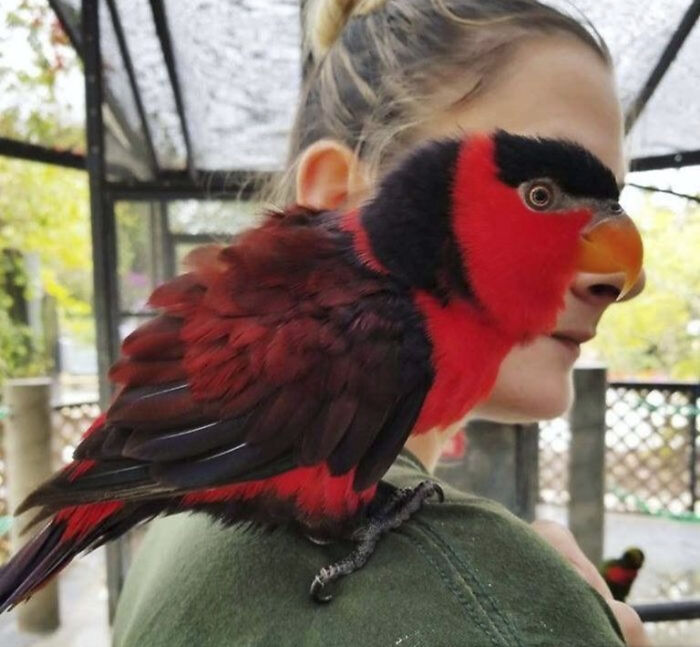 This Page Shared 50 Funniest Animal Photos That Deserve A Comedy Award
