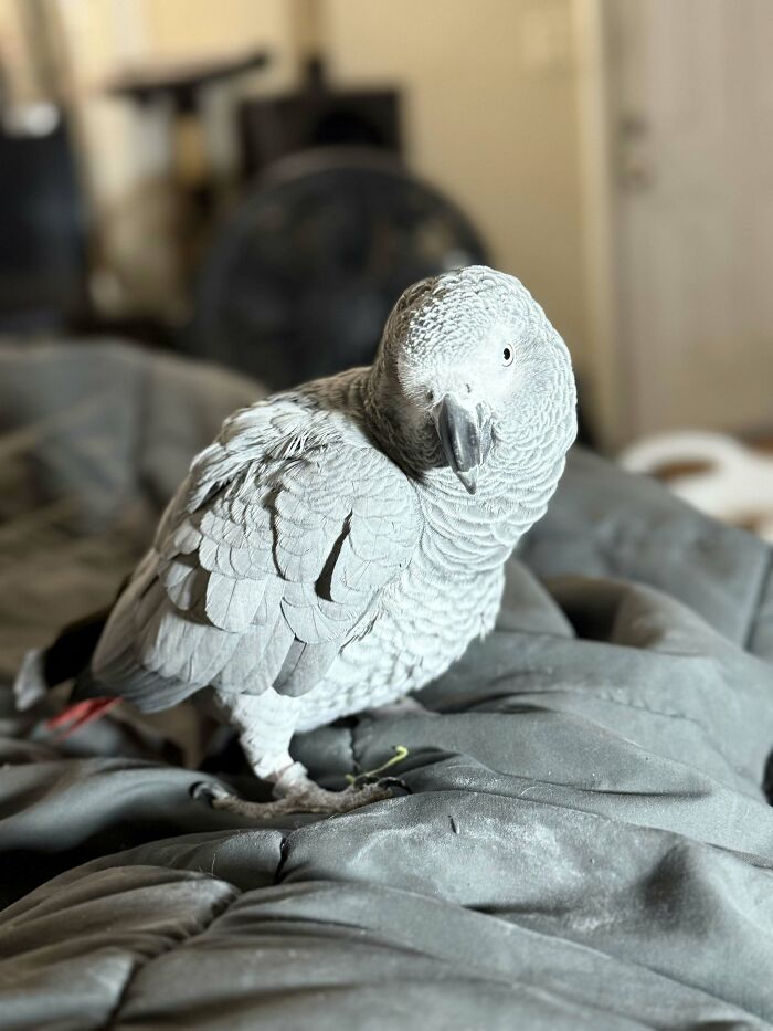 75 Pet Parents Share The Most Hilarious And Crazy Reasons They Had To Pay A Bill At The Vet